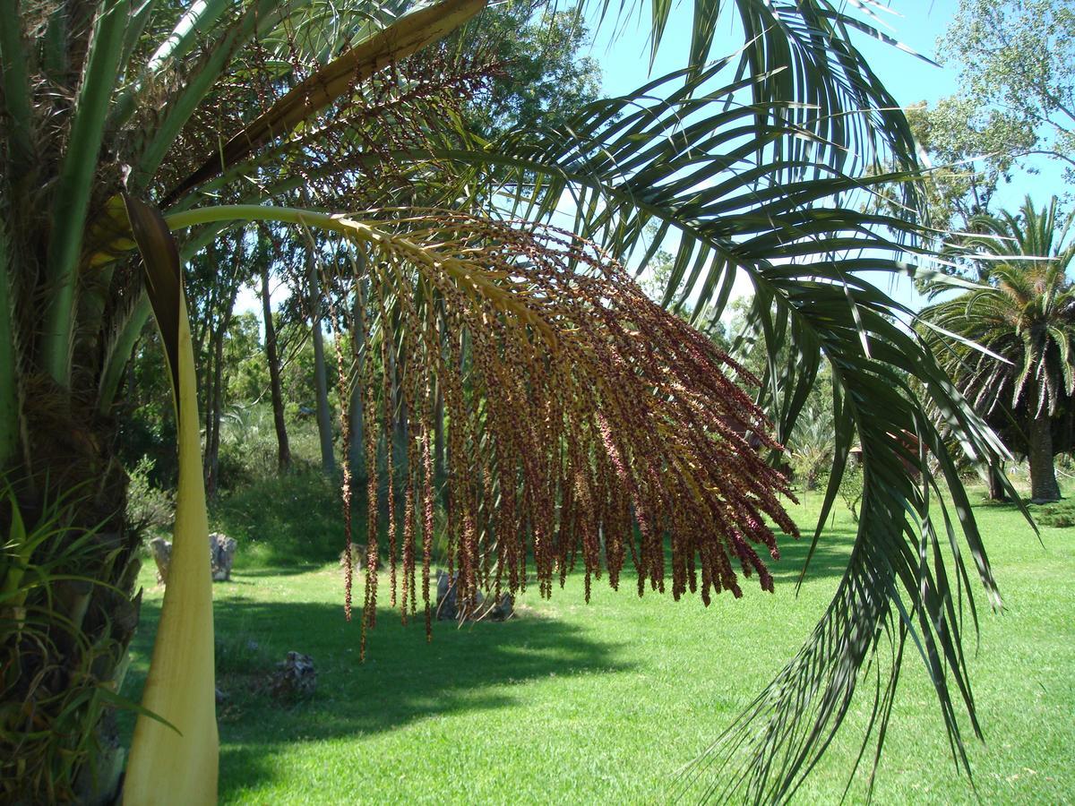 La Posta de la Laguna La Paloma Exterior foto