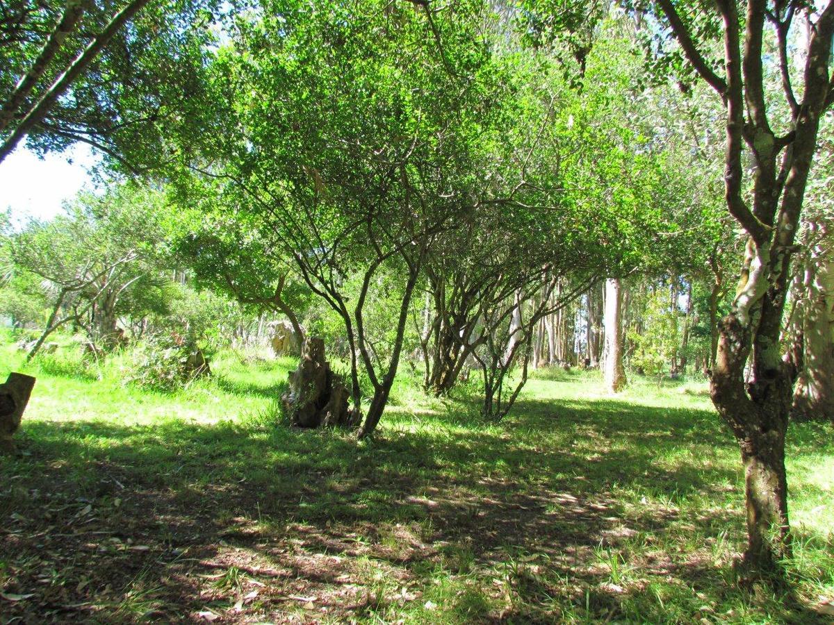La Posta de la Laguna La Paloma Exterior foto